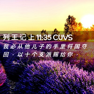 Picture 02 - 列 王 记 上 11:35 CUVS - 我 必 从 他 儿 子 的 手 里 将 国 夺 - Bible Verse Picture