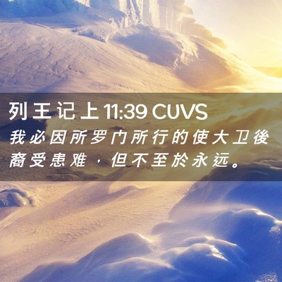 Picture 02 - 列 王 记 上 11:39 CUVS - 我 必 因 所 罗 门 所 行 的 使 大 卫 - Bible Verse Picture