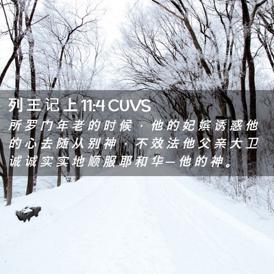 Picture 02 - 列 王 记 上 11:4 CUVS - 所 罗 门 年 老 的 时 候 ， 他 的 妃 - Bible Verse Picture