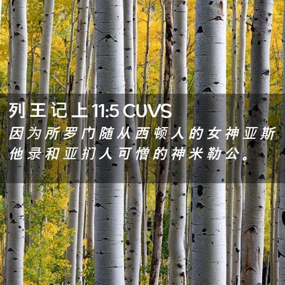 Picture 02 - 列 王 记 上 11:5 CUVS - 因 为 所 罗 门 随 从 西 顿 人 的 女 - Bible Verse Picture