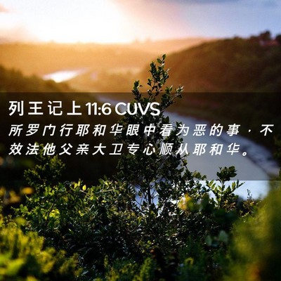 Picture 02 - 列 王 记 上 11:6 CUVS - 所 罗 门 行 耶 和 华 眼 中 看 为 恶 - Bible Verse Picture