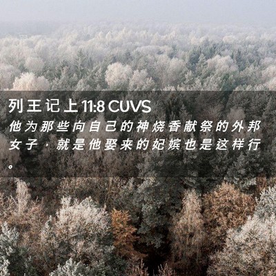 Picture 02 - 列 王 记 上 11:8 CUVS - 他 为 那 些 向 自 己 的 神 烧 香 献 - Bible Verse Picture