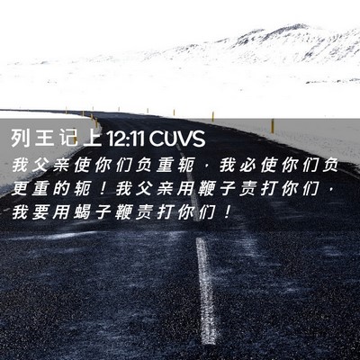 Picture 02 - 列 王 记 上 12:11 CUVS - 我 父 亲 使 你 们 负 重 轭 ， 我 必 - Bible Verse Picture