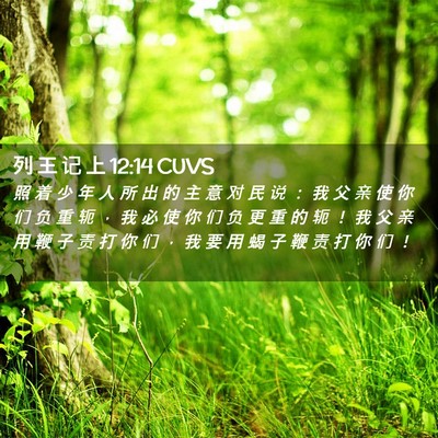 Picture 02 - 列 王 记 上 12:14 CUVS - 照 着 少 年 人 所 出 的 主 意 对 民 - Bible Verse Picture