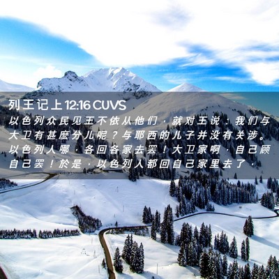 Picture 02 - 列 王 记 上 12:16 CUVS - 以 色 列 众 民 见 王 不 依 从 他 们 - Bible Verse Picture