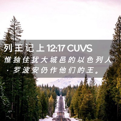 Picture 02 - 列 王 记 上 12:17 CUVS - 惟 独 住 犹 大 城 邑 的 以 色 列 人 - Bible Verse Picture