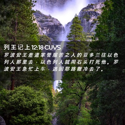 Picture 02 - 列 王 记 上 12:18 CUVS - 罗 波 安 王 差 遣 掌 管 服 苦 之 人 - Bible Verse Picture