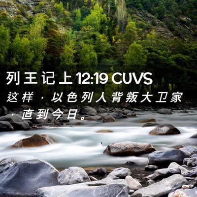 Picture 02 - 列 王 记 上 12:19 CUVS - 这 样 ， 以 色 列 人 背 叛 大 卫 家 - Bible Verse Picture