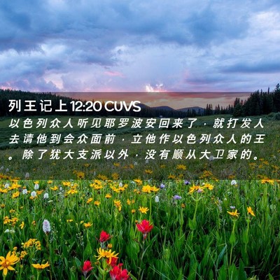 Picture 02 - 列 王 记 上 12:20 CUVS - 以 色 列 众 人 听 见 耶 罗 波 安 回 - Bible Verse Picture