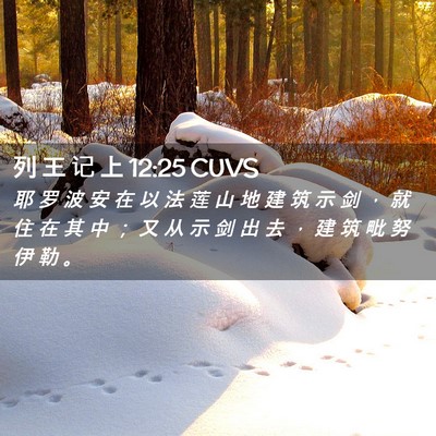 Picture 02 - 列 王 记 上 12:25 CUVS - 耶 罗 波 安 在 以 法 莲 山 地 建 筑 - Bible Verse Picture