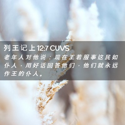 Picture 02 - 列 王 记 上 12:7 CUVS - 老 年 人 对 他 说 ： 现 在 王 若 服 - Bible Verse Picture