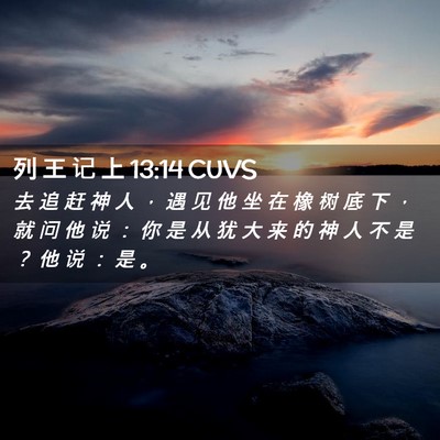 Picture 02 - 列 王 记 上 13:14 CUVS - 去 追 赶 神 人 ， 遇 见 他 坐 在 橡 - Bible Verse Picture