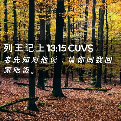 Picture 02 - 列 王 记 上 13:15 CUVS - 老 先 知 对 他 说 ： 请 你 同 我 回 - Bible Verse Picture