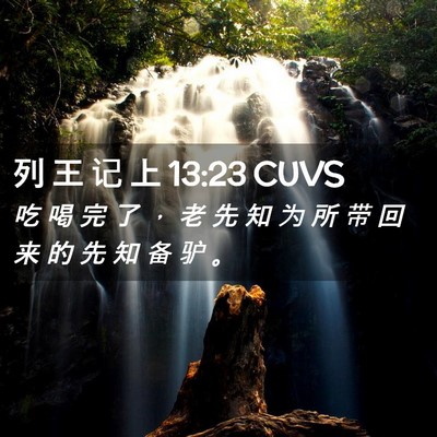 Picture 02 - 列 王 记 上 13:23 CUVS - 吃 喝 完 了 ， 老 先 知 为 所 带 回 - Bible Verse Picture