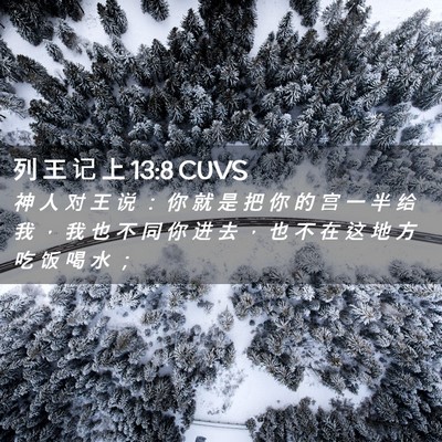 Picture 02 - 列 王 记 上 13:8 CUVS - 神 人 对 王 说 ： 你 就 是 把 你 的 - Bible Verse Picture