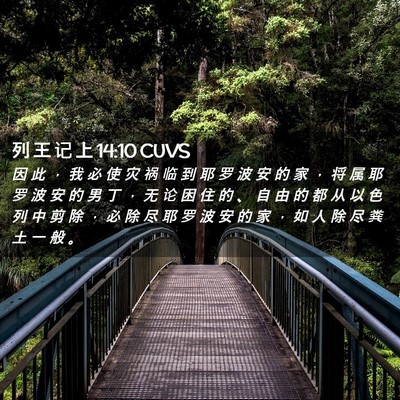 Picture 02 - 列 王 记 上 14:10 CUVS - 因 此 ， 我 必 使 灾 祸 临 到 耶 罗 - Bible Verse Picture