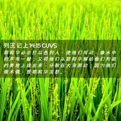 Picture 02 - 列 王 记 上 14:15 CUVS - 耶 和 华 必 击 打 以 色 列 人 ， 使 - Bible Verse Picture