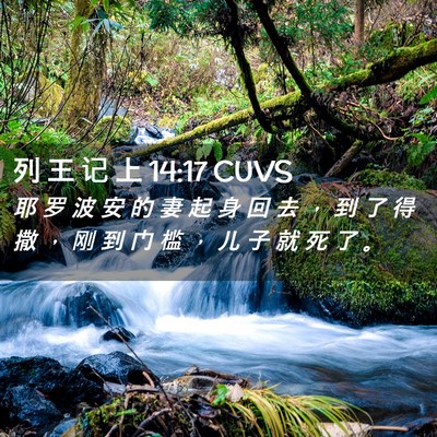 Picture 02 - 列 王 记 上 14:17 CUVS - 耶 罗 波 安 的 妻 起 身 回 去 ， 到 - Bible Verse Picture