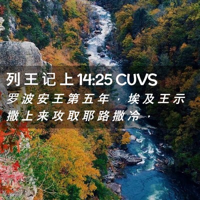 Picture 02 - 列 王 记 上 14:25 CUVS - 罗 波 安 王 第 五 年 ， 埃 及 王 示 - Bible Verse Picture