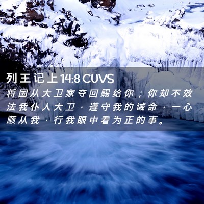 Picture 02 - 列 王 记 上 14:8 CUVS - 将 国 从 大 卫 家 夺 回 赐 给 你 ； - Bible Verse Picture