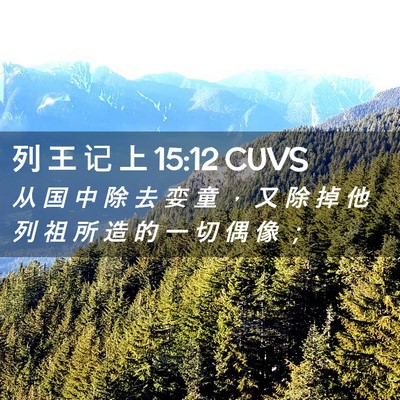 Picture 02 - 列 王 记 上 15:12 CUVS - 从 国 中 除 去 娈 童 ， 又 除 掉 他 - Bible Verse Picture