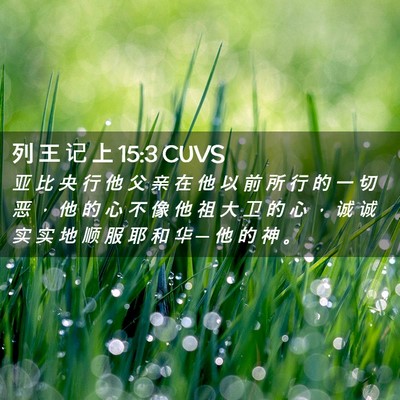 Picture 02 - 列 王 记 上 15:3 CUVS - 亚 比 央 行 他 父 亲 在 他 以 前 所 - Bible Verse Picture