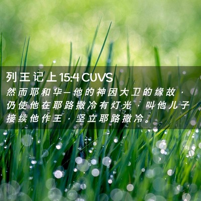 Picture 02 - 列 王 记 上 15:4 CUVS - 然 而 耶 和 华 ─ 他 的 神 因 大 卫 - Bible Verse Picture