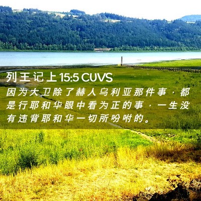 Picture 02 - 列 王 记 上 15:5 CUVS - 因 为 大 卫 除 了 赫 人 乌 利 亚 那 - Bible Verse Picture