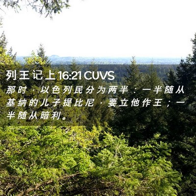 Picture 02 - 列 王 记 上 16:21 CUVS - 那 时 ， 以 色 列 民 分 为 两 半 ： - Bible Verse Picture