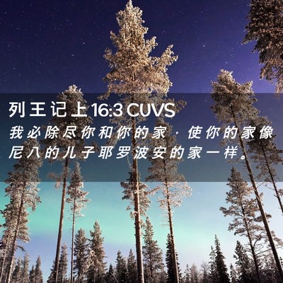 Picture 02 - 列 王 记 上 16:3 CUVS - 我 必 除 尽 你 和 你 的 家 ， 使 你 - Bible Verse Picture