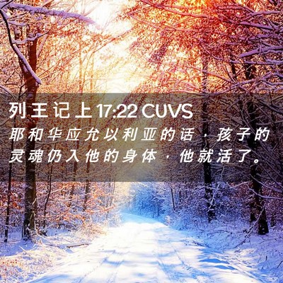 Picture 02 - 列 王 记 上 17:22 CUVS - 耶 和 华 应 允 以 利 亚 的 话 ， 孩 - Bible Verse Picture