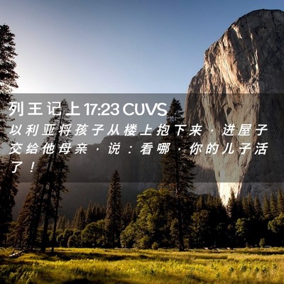 Picture 02 - 列 王 记 上 17:23 CUVS - 以 利 亚 将 孩 子 从 楼 上 抱 下 来 - Bible Verse Picture