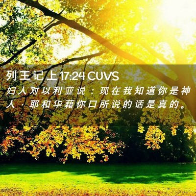 Picture 02 - 列 王 记 上 17:24 CUVS - 妇 人 对 以 利 亚 说 ： 现 在 我 知 - Bible Verse Picture