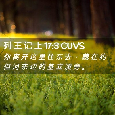 Picture 02 - 列 王 记 上 17:3 CUVS - 你 离 开 这 里 往 东 去 ， 藏 在 约 - Bible Verse Picture