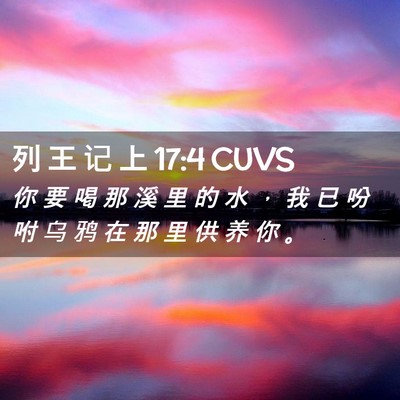Picture 02 - 列 王 记 上 17:4 CUVS - 你 要 喝 那 溪 里 的 水 ， 我 已 吩 - Bible Verse Picture