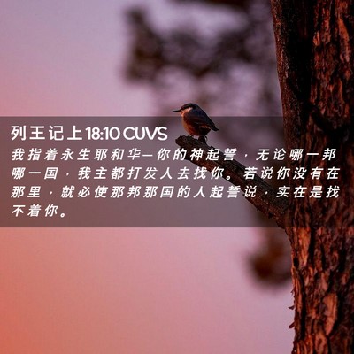 Picture 02 - 列 王 记 上 18:10 CUVS - 我 指 着 永 生 耶 和 华 ─ 你 的 神 - Bible Verse Picture