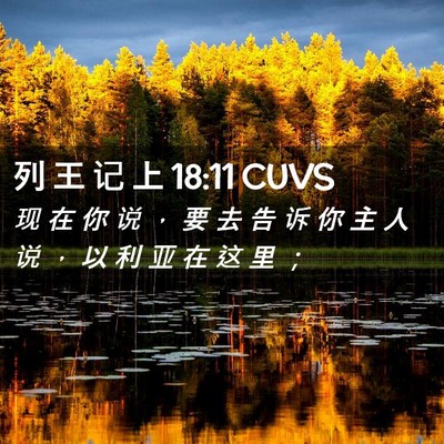 Picture 02 - 列 王 记 上 18:11 CUVS - 现 在 你 说 ， 要 去 告 诉 你 主 人 - Bible Verse Picture