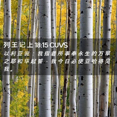 Picture 02 - 列 王 记 上 18:15 CUVS - 以 利 亚 说 ： 我 指 着 所 事 奉 永 - Bible Verse Picture