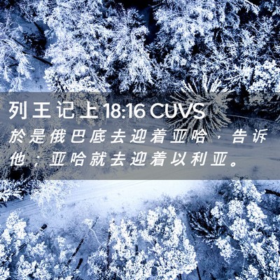 Picture 02 - 列 王 记 上 18:16 CUVS - 於 是 俄 巴 底 去 迎 着 亚 哈 ， 告 - Bible Verse Picture