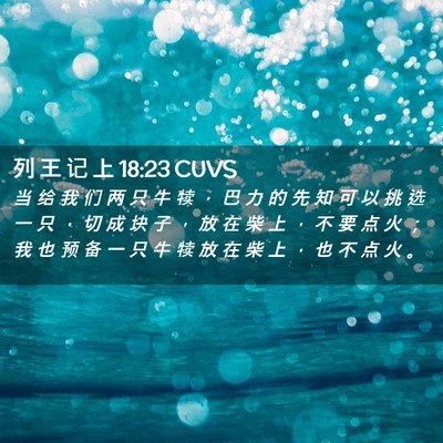 Picture 02 - 列 王 记 上 18:23 CUVS - 当 给 我 们 两 只 牛 犊 ， 巴 力 的 - Bible Verse Picture