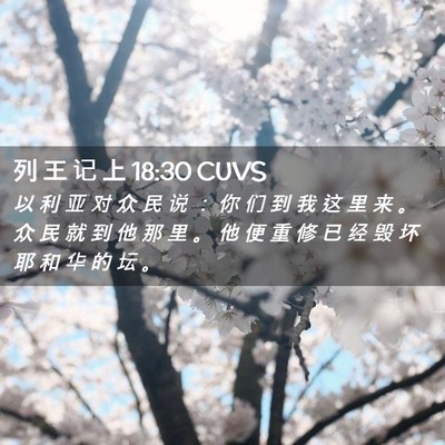 Picture 02 - 列 王 记 上 18:30 CUVS - 以 利 亚 对 众 民 说 ： 你 们 到 我 - Bible Verse Picture