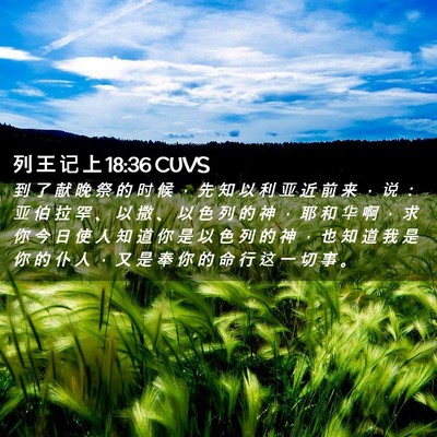 Picture 02 - 列 王 记 上 18:36 CUVS - 到 了 献 晚 祭 的 时 候 ， 先 知 以 - Bible Verse Picture