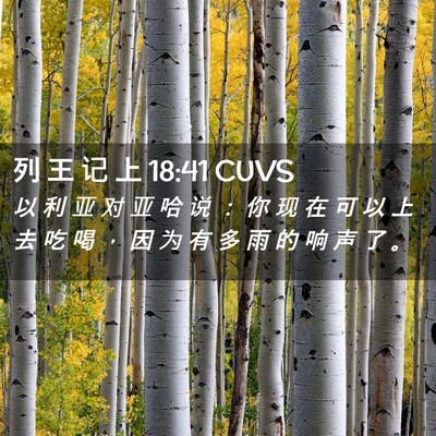 Picture 02 - 列 王 记 上 18:41 CUVS - 以 利 亚 对 亚 哈 说 ： 你 现 在 可 - Bible Verse Picture