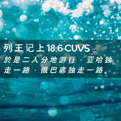 Picture 02 - 列 王 记 上 18:6 CUVS - 於 是 二 人 分 地 游 行 ， 亚 哈 独 - Bible Verse Picture