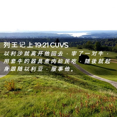 Picture 02 - 列 王 记 上 19:21 CUVS - 以 利 沙 就 离 开 他 回 去 ， 宰 了 - Bible Verse Picture