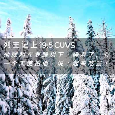 Picture 02 - 列 王 记 上 19:5 CUVS - 他 就 躺 在 罗 腾 树 下 ， 睡 着 了 - Bible Verse Picture