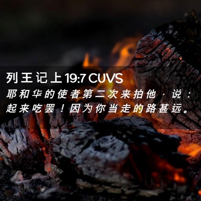 Picture 02 - 列 王 记 上 19:7 CUVS - 耶 和 华 的 使 者 第 二 次 来 拍 他 - Bible Verse Picture