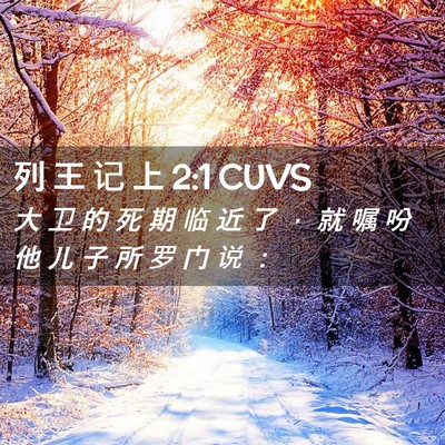 Picture 02 - 列 王 记 上 2:1 CUVS - 大 卫 的 死 期 临 近 了 ， 就 嘱 吩 - Bible Verse Picture