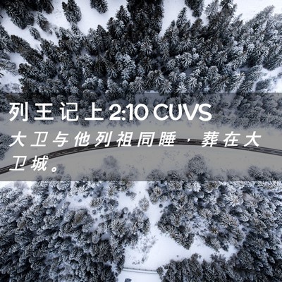 Picture 02 - 列 王 记 上 2:10 CUVS - 大 卫 与 他 列 祖 同 睡 ， 葬 在 大 - Bible Verse Picture