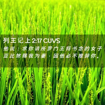 Picture 02 - 列 王 记 上 2:17 CUVS - 他 说 ： 求 你 请 所 罗 门 王 将 书 - Bible Verse Picture